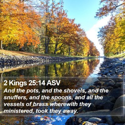 2 Kings 25:14 ASV Bible Verse Image