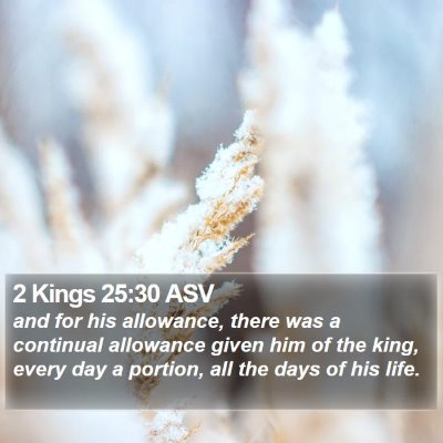 2 Kings 25:30 ASV Bible Verse Image
