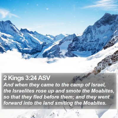 2 Kings 3:24 ASV Bible Verse Image