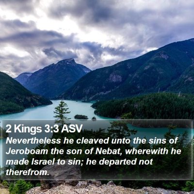 2 Kings 3:3 ASV Bible Verse Image