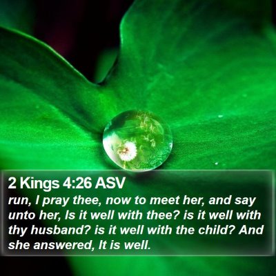2 Kings 4:26 ASV Bible Verse Image
