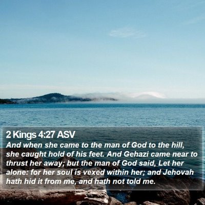 2 Kings 4:27 ASV Bible Verse Image