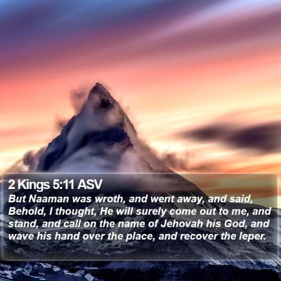 2 Kings 5:11 ASV Bible Verse Image