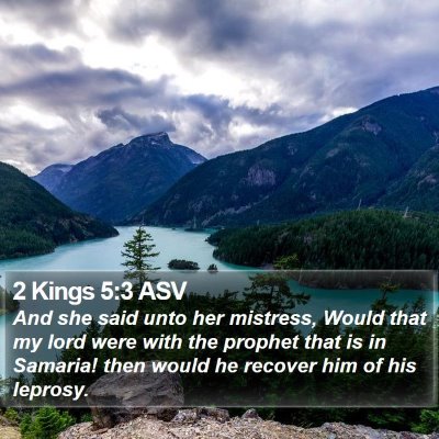 2 Kings 5:3 ASV Bible Verse Image