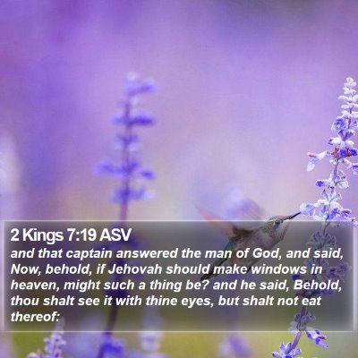 2 Kings 7:19 ASV Bible Verse Image