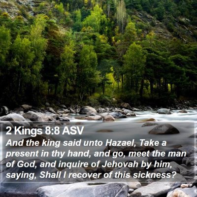 2 Kings 8:8 ASV Bible Verse Image