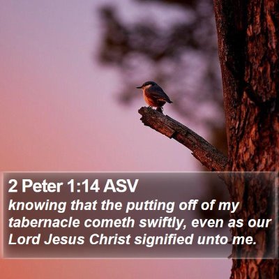 2 Peter 1:14 ASV Bible Verse Image