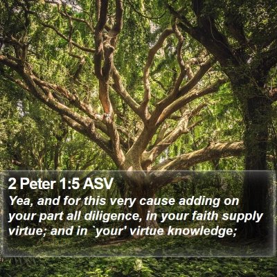 2 Peter 1:5 ASV Bible Verse Image