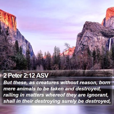 2 Peter 2:12 ASV Bible Verse Image