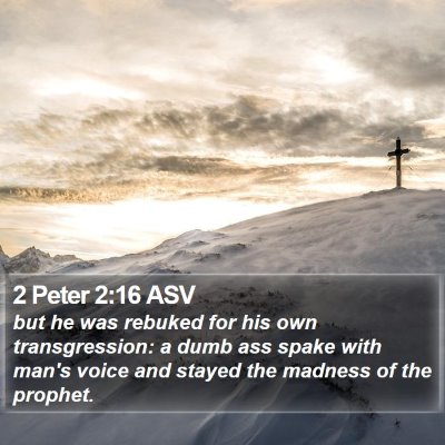 2 Peter 2:16 ASV Bible Verse Image