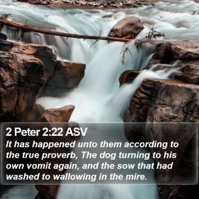 2 Peter 2:22 ASV Bible Verse Image
