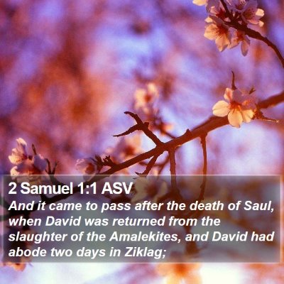 2 Samuel 1:1 ASV Bible Verse Image