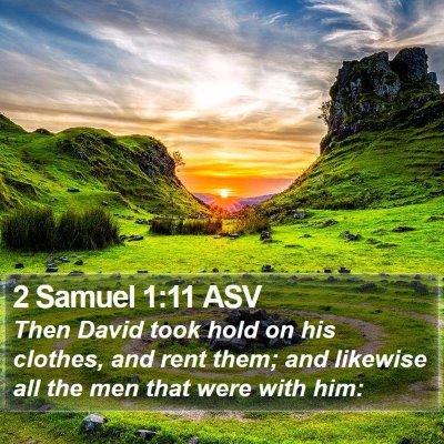 2 Samuel 1:11 ASV Bible Verse Image