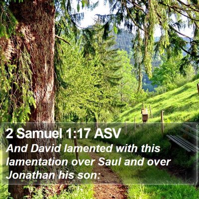2 Samuel 1:17 ASV Bible Verse Image