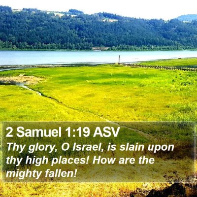 2 Samuel 1:19 ASV Bible Verse Image