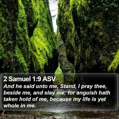 2 Samuel 1:9 ASV Bible Verse Image