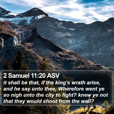 2 Samuel 11:20 ASV Bible Verse Image
