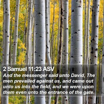 2 Samuel 11:23 ASV Bible Verse Image