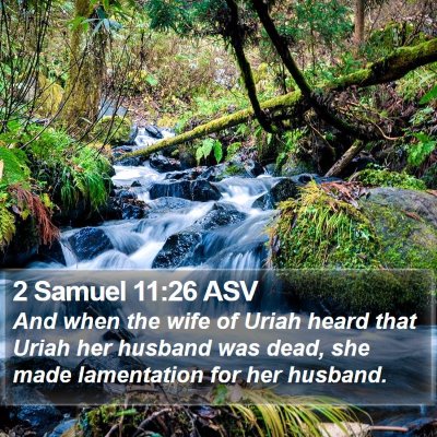 2 Samuel 11:26 ASV Bible Verse Image