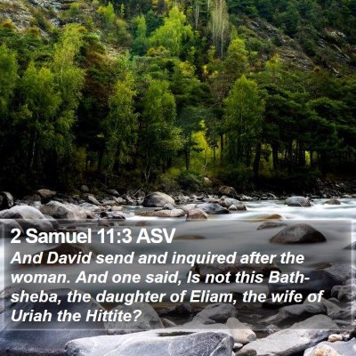 2 Samuel 11:3 ASV Bible Verse Image
