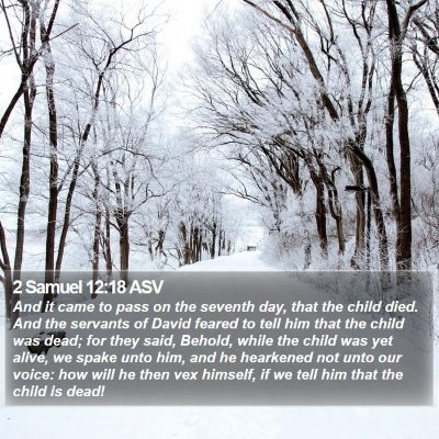 2 Samuel 12:18 ASV Bible Verse Image