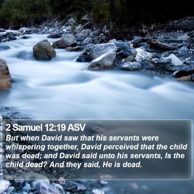 2 Samuel 12:19 ASV Bible Verse Image