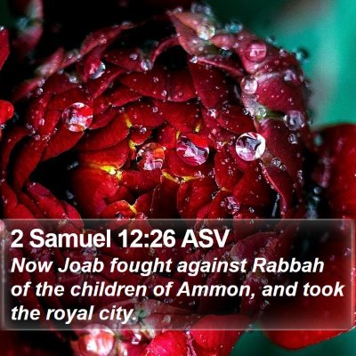2 Samuel 12:26 ASV Bible Verse Image