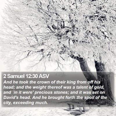 2 Samuel 12:30 ASV Bible Verse Image