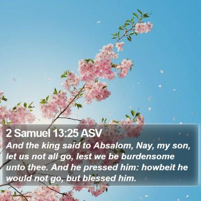 2 Samuel 13:25 ASV Bible Verse Image