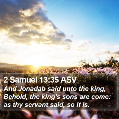 2 Samuel 13:35 ASV Bible Verse Image