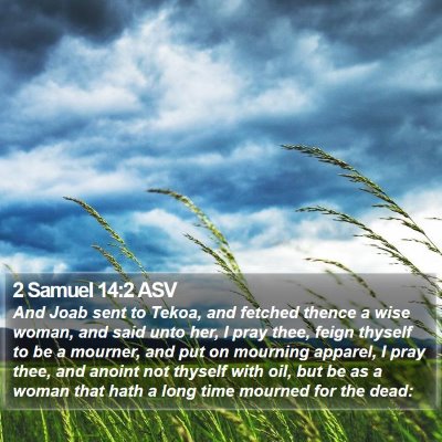 2 Samuel 14:2 ASV Bible Verse Image