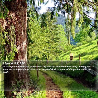 2 Samuel 14:20 ASV Bible Verse Image