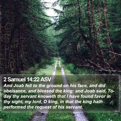 2 Samuel 14:22 ASV Bible Verse Image