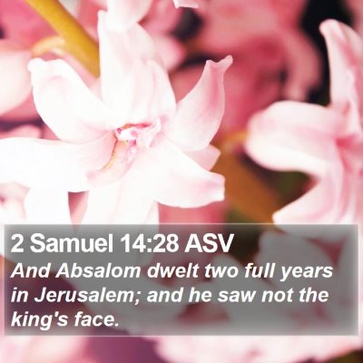 2 Samuel 14:28 ASV Bible Verse Image