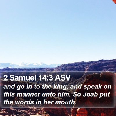 2 Samuel 14:3 ASV Bible Verse Image