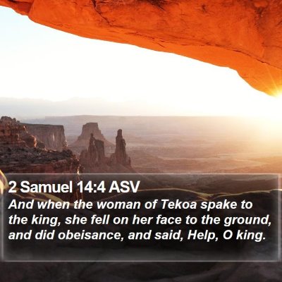2 Samuel 14:4 ASV Bible Verse Image