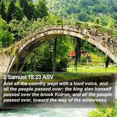 2 Samuel 15:23 ASV Bible Verse Image