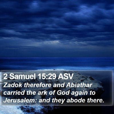 2 Samuel 15:29 ASV Bible Verse Image