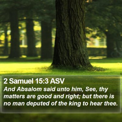 2 Samuel 15:3 ASV Bible Verse Image