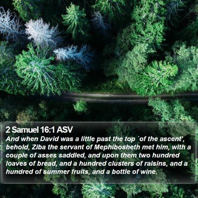2 Samuel 16:1 ASV Bible Verse Image