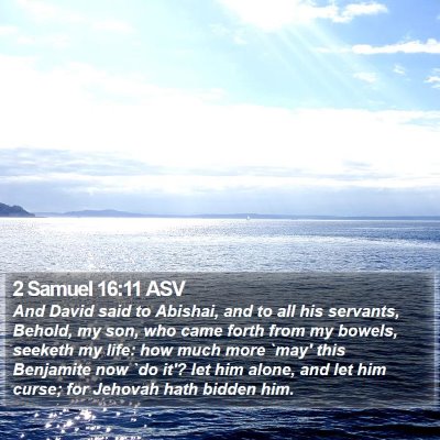2 Samuel 16:11 ASV Bible Verse Image