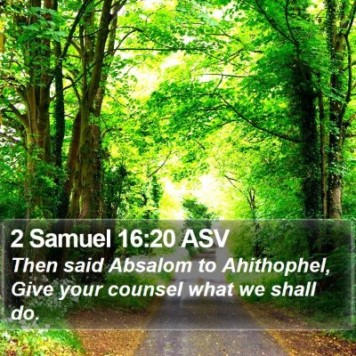 2 Samuel 16:20 ASV Bible Verse Image