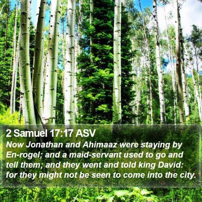 2 Samuel 17:17 ASV Bible Verse Image