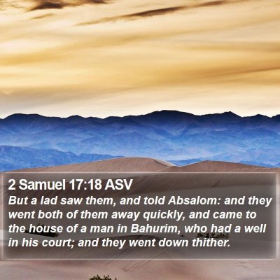 2 Samuel 17:18 ASV Bible Verse Image