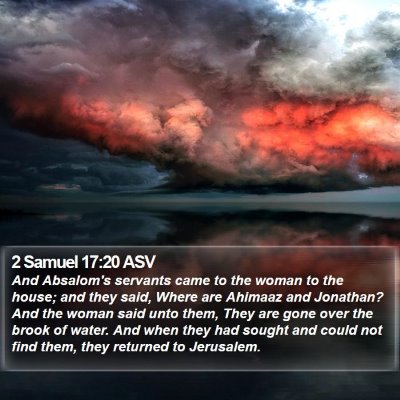 2 Samuel 17:20 ASV Bible Verse Image