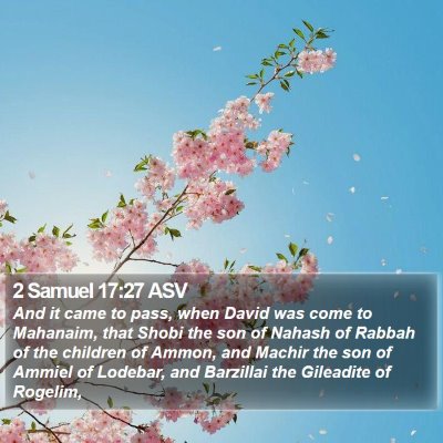 2 Samuel 17:27 ASV Bible Verse Image