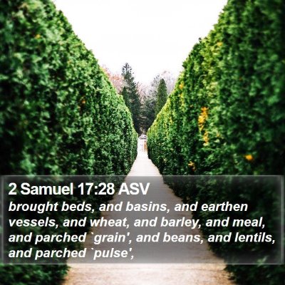 2 Samuel 17:28 ASV Bible Verse Image