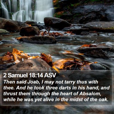 2 Samuel 18:14 ASV Bible Verse Image