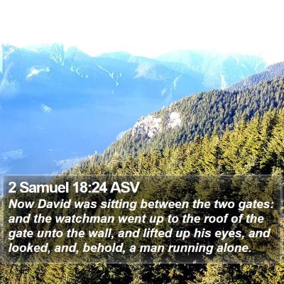 2 Samuel 18:24 ASV Bible Verse Image
