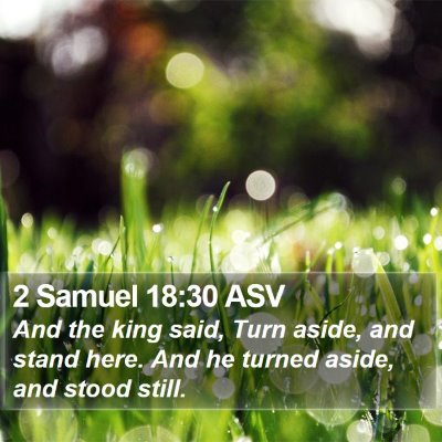 2 Samuel 18:30 ASV Bible Verse Image
